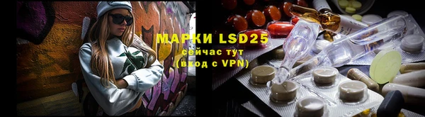 ПСИЛОЦИБИНОВЫЕ ГРИБЫ Беломорск