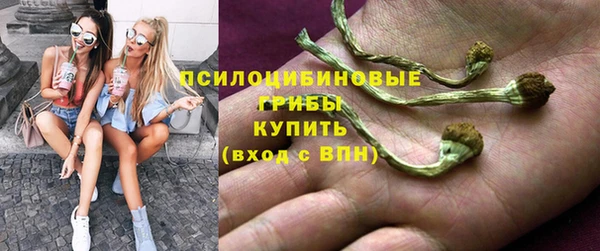 ПСИЛОЦИБИНОВЫЕ ГРИБЫ Беломорск