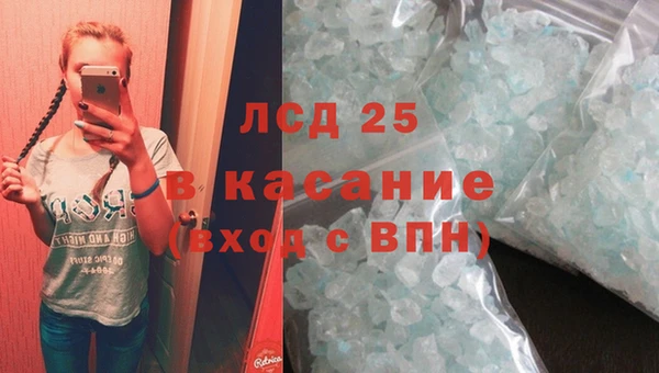 ПСИЛОЦИБИНОВЫЕ ГРИБЫ Беломорск