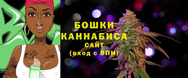 шишки Остров
