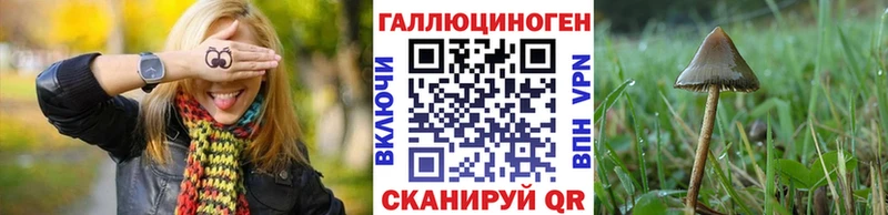 где можно купить   Чегем  blacksprut зеркало  Псилоцибиновые грибы Psilocybe 